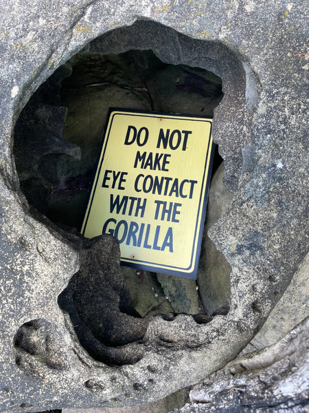 Do Not Make Eye Contact with the Gorilla Sign | Handmade | Funny Reception Area Sign | Office Humor | Boss | Receptionist