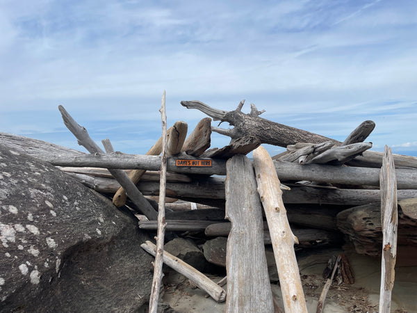 Dave's Not Here Sign | Handmade | Cheech and Chong Inspired | Pro Cannabis | Pro Weed | Marijuana | Quirky