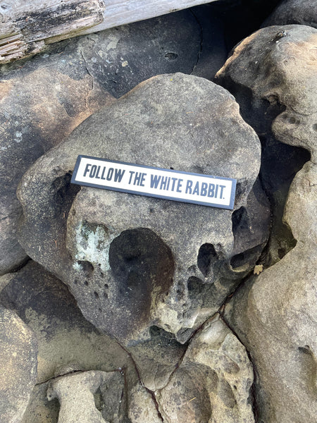Follow the White Rabbit Sign | Handmade | Alice in Wonderland | The Matrix | Whimsical décor | Fantasy | Dark Academia