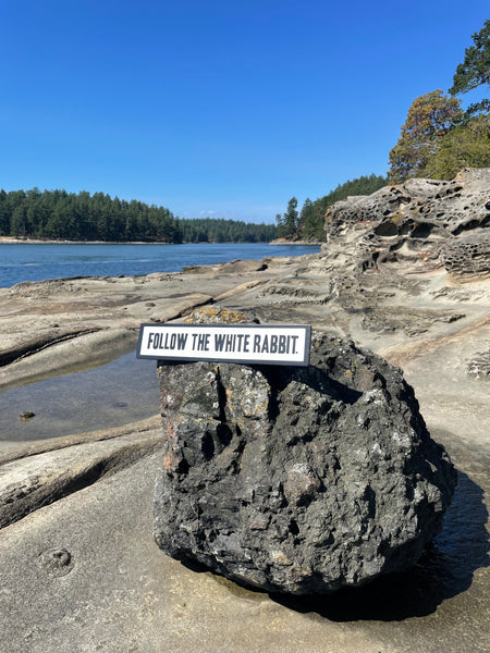 Follow the White Rabbit Sign | Handmade | Alice in Wonderland | The Matrix | Whimsical décor | Fantasy | Dark Academia