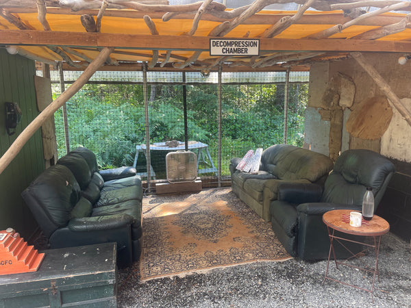 Decompression Chamber Sign | Handmade | Funny Dive Shop Sign | Scuba diver | Sauna | Chill Out Area