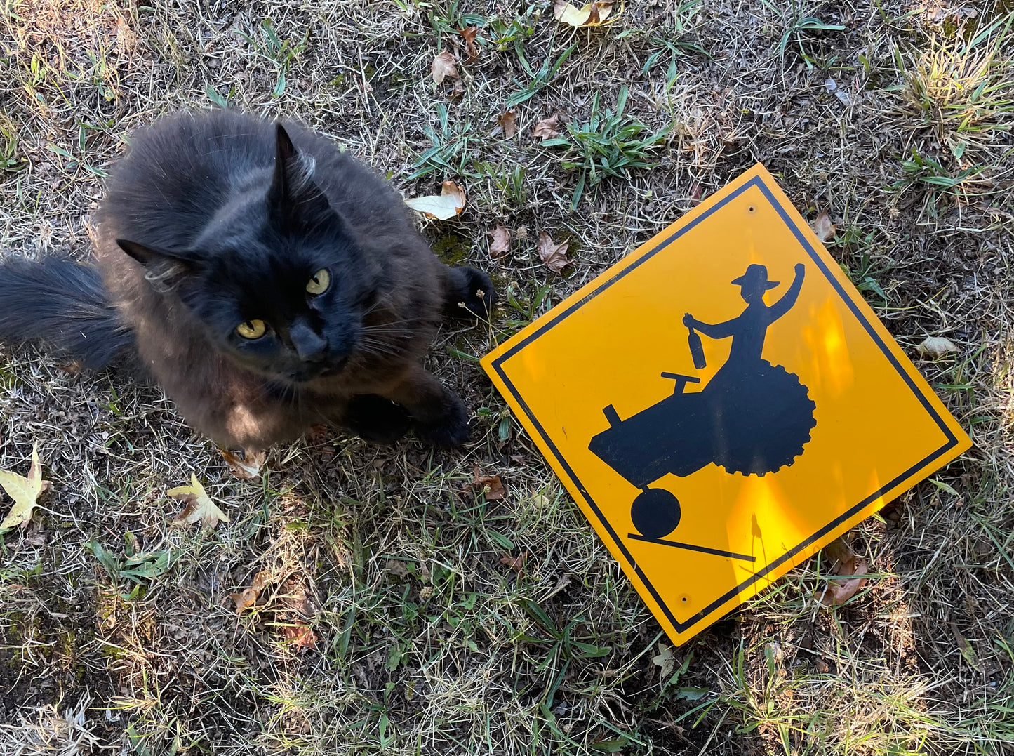 Cowboy "Bucking Bronco" Tractor Sign | Handmade | Funny Crossing Sign | Rodeo | Country and Western | Highway Road Sign