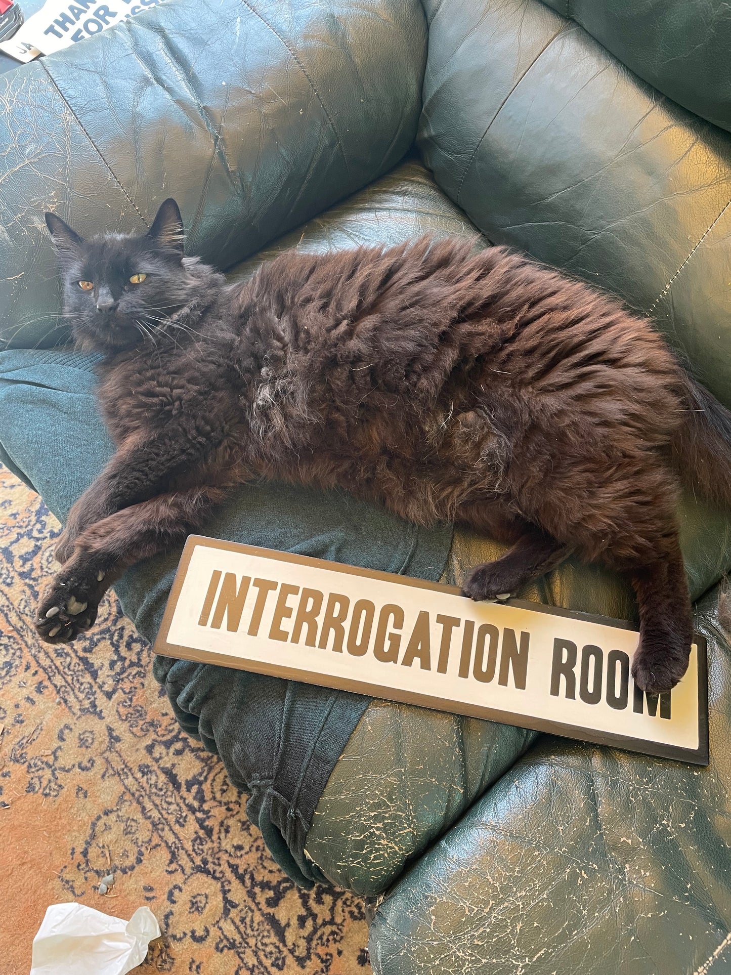 Interrogation Room Sign | Handmade | Office Door | Funny Bathroom Sign | True Crime | Mystery Theme Decor | Police Station Prop