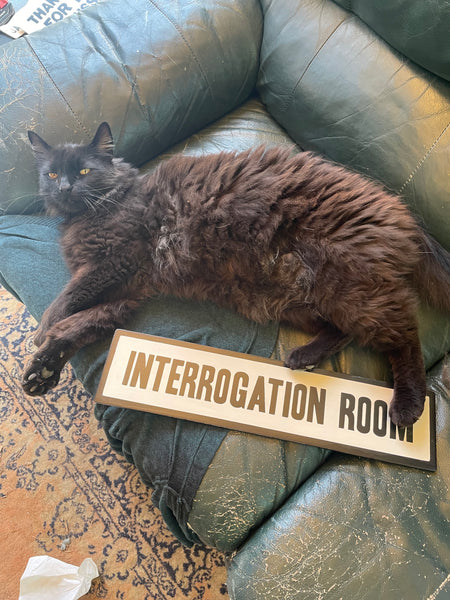 Interrogation Room Sign | Handmade | Office Door | Funny Bathroom Sign | True Crime | Mystery Theme Decor | Police Station Prop