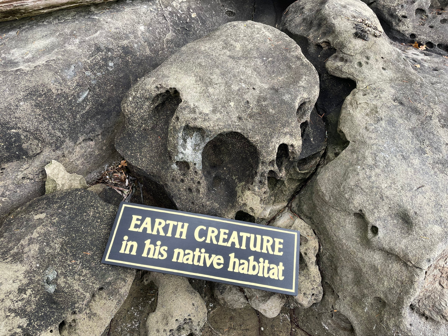 Earth Creature in His Natural Habitat Sign | Handmade | The Twilight Zone | TV Prop Replica | Retro Sci-Fi Theme | Science Fiction Décor