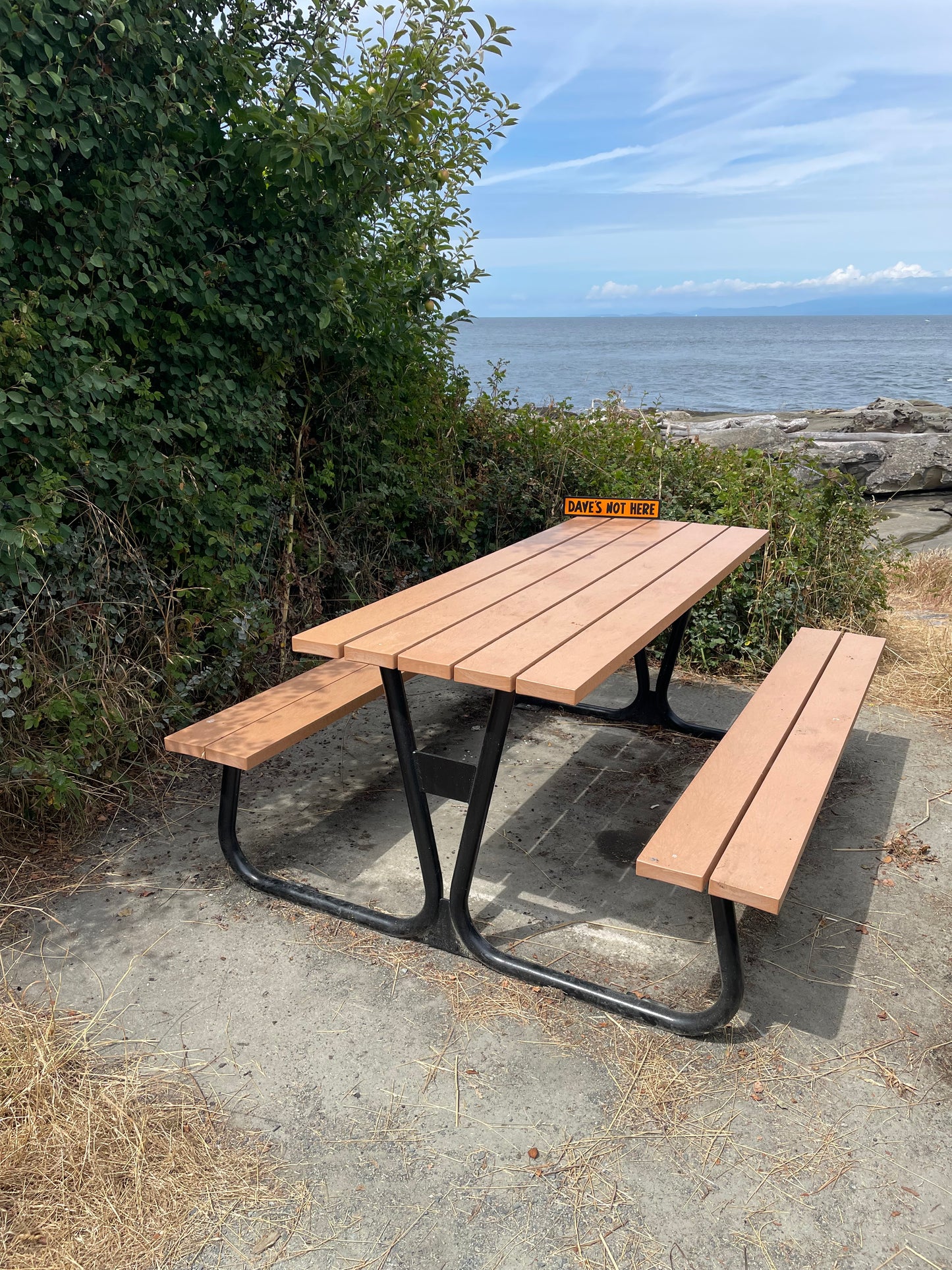 Dave's Not Here Sign | Handmade | Cheech and Chong Inspired | Pro Cannabis | Pro Weed | Marijuana | Quirky