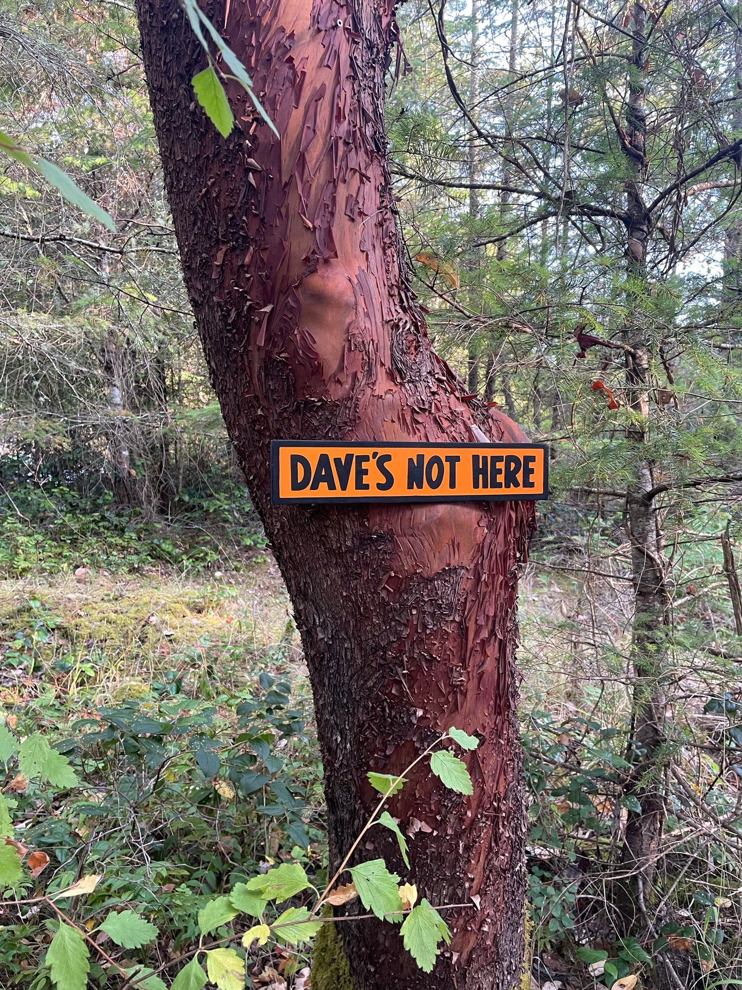 Dave's Not Here Sign | Handmade | Cheech and Chong Inspired | Pro Cannabis | Pro Weed | Marijuana | Quirky