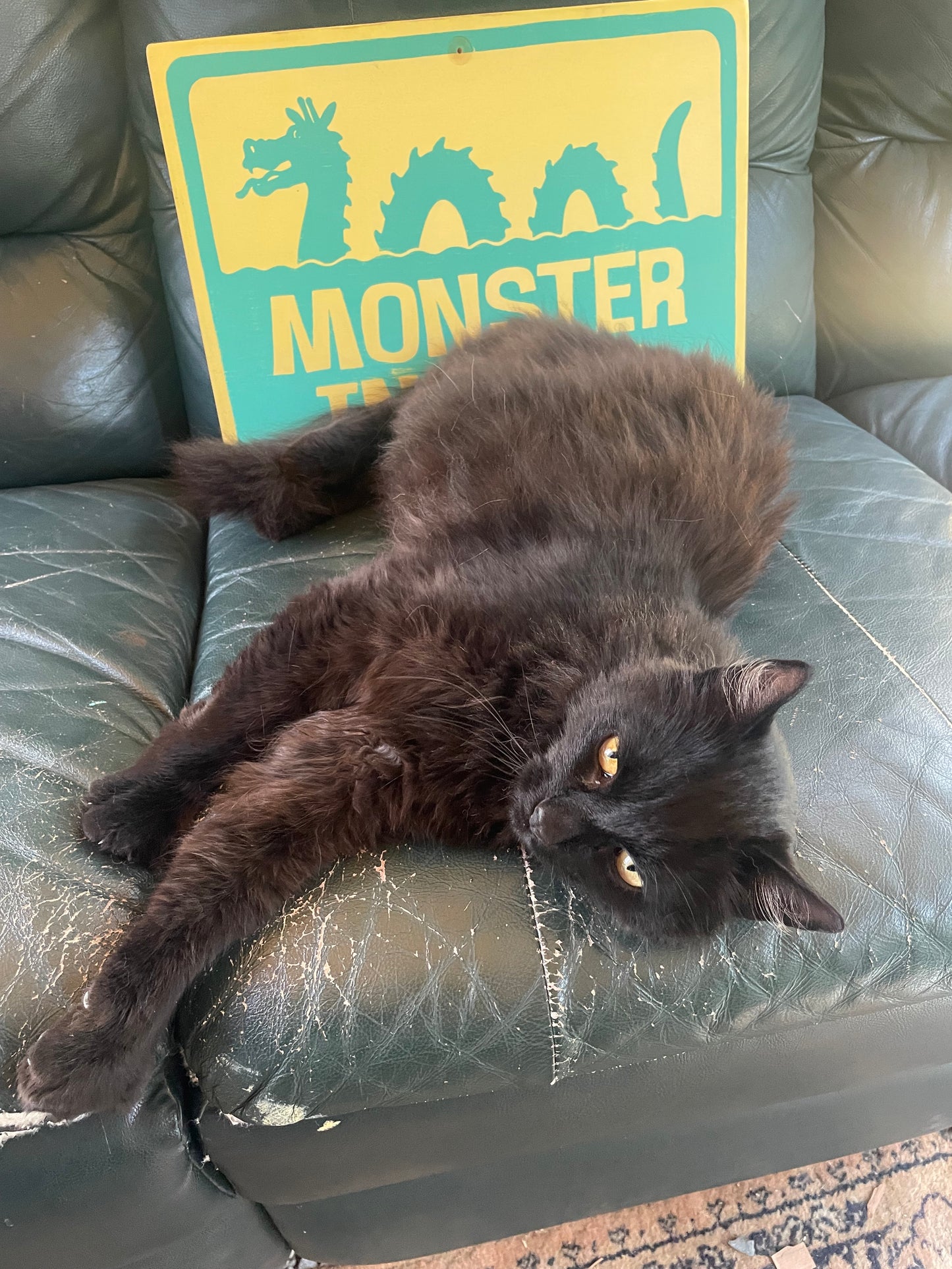 Monster In Area Sign | Handmade | Ogopogo | Loch Ness monster | Mythical Creature | Pool and Hot tub décor | Ocean | Beach | Lake