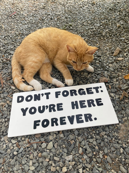 Don't Forget: You're Here Forever Sign | Handmade | The Simpsons | Funny Workplace Sign | Fun Waiting Room Decor | TV | Pop Culture | Geek