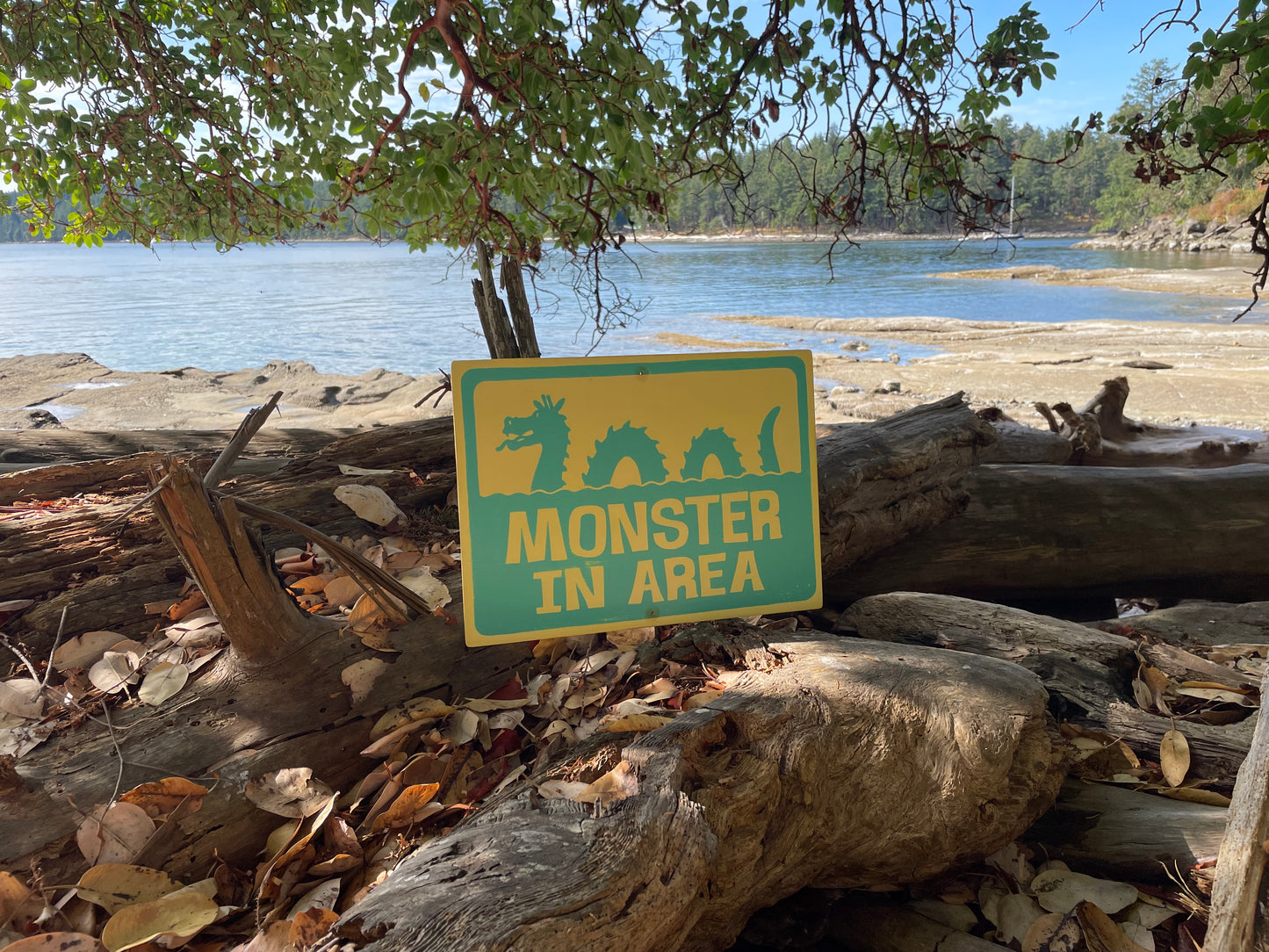 Monster In Area Sign | Handmade | Ogopogo | Loch Ness monster | Mythical Creature | Pool and Hot tub décor | Ocean | Beach | Lake