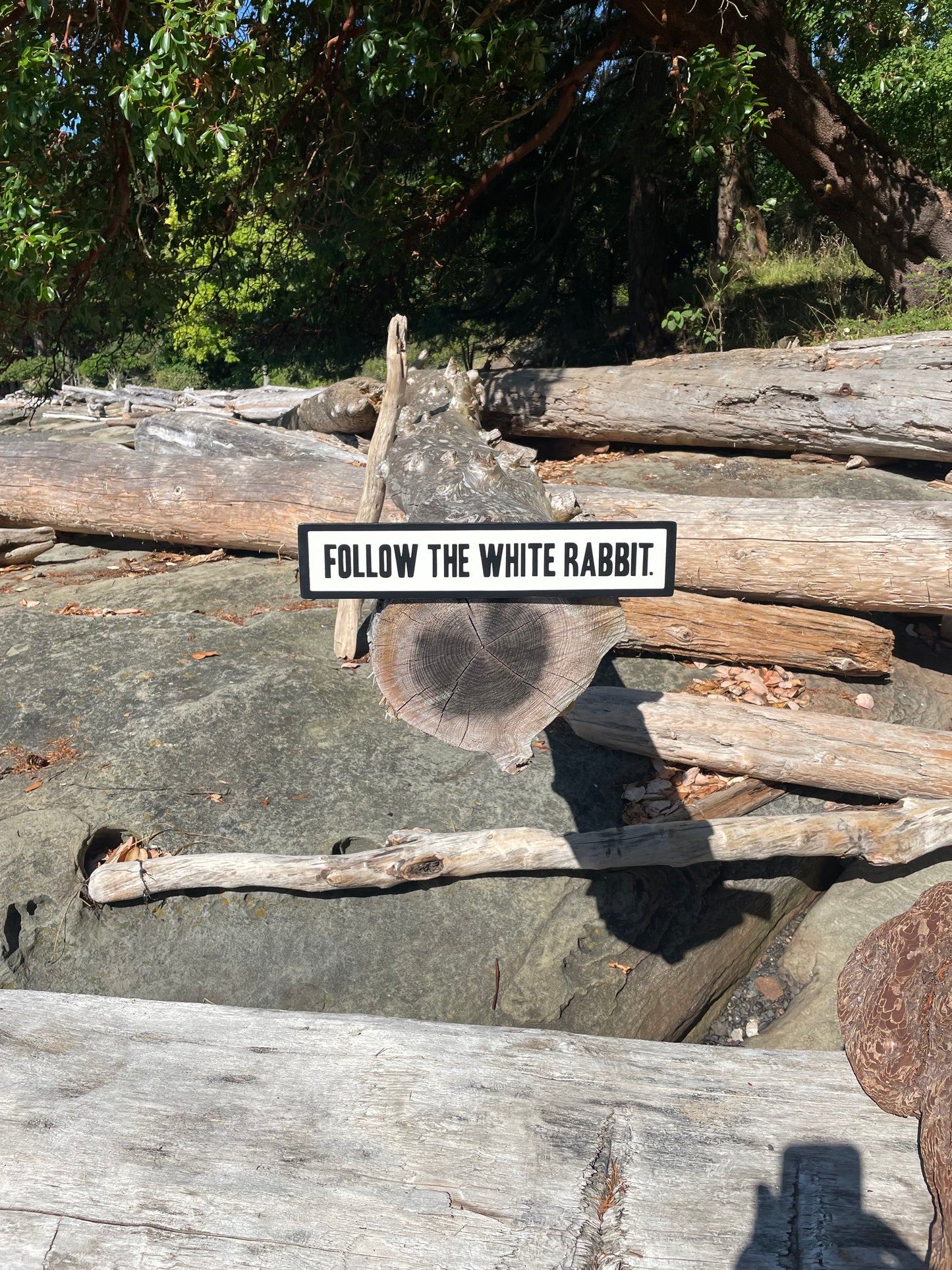 Follow the White Rabbit Sign | Handmade | Alice in Wonderland | The Matrix | Whimsical décor | Fantasy | Dark Academia