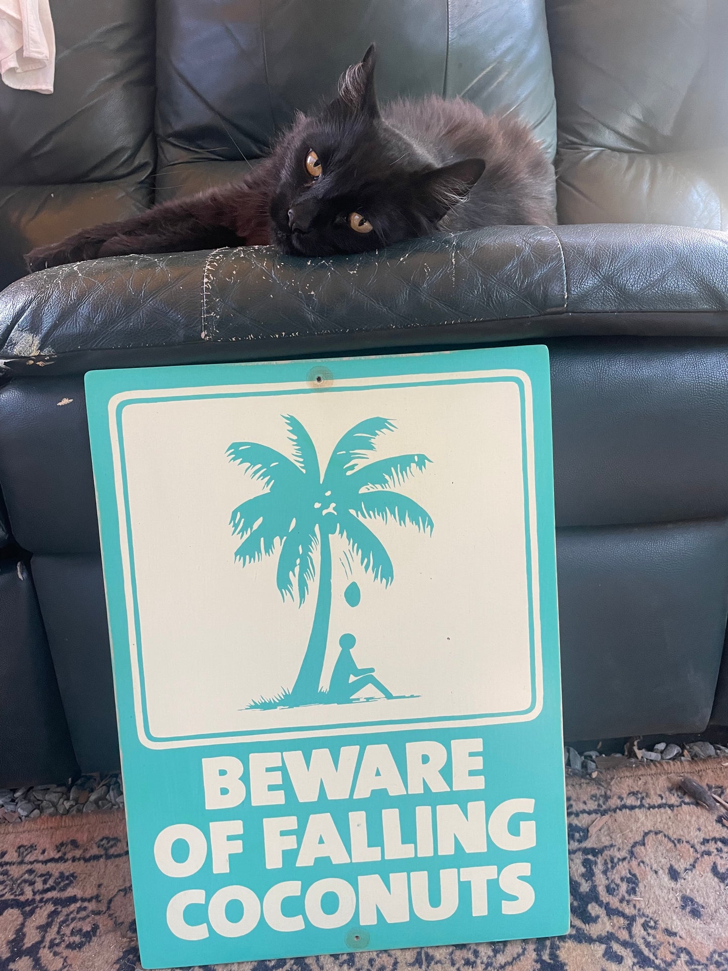 Beware of Falling Coconuts Sign | Handmade | Authentic Beach Warning Sign | Ocean and Coastal | Tiki Bar | Surfing | Diving | Tropical