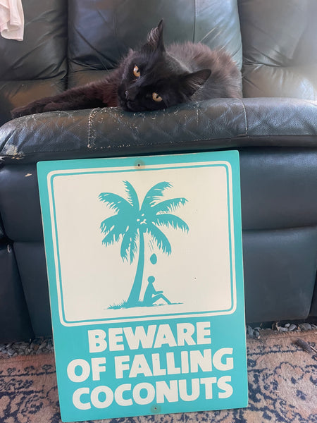 Beware of Falling Coconuts Sign | Handmade | Authentic Beach Warning Sign | Ocean and Coastal | Tiki Bar | Surfing | Diving | Tropical