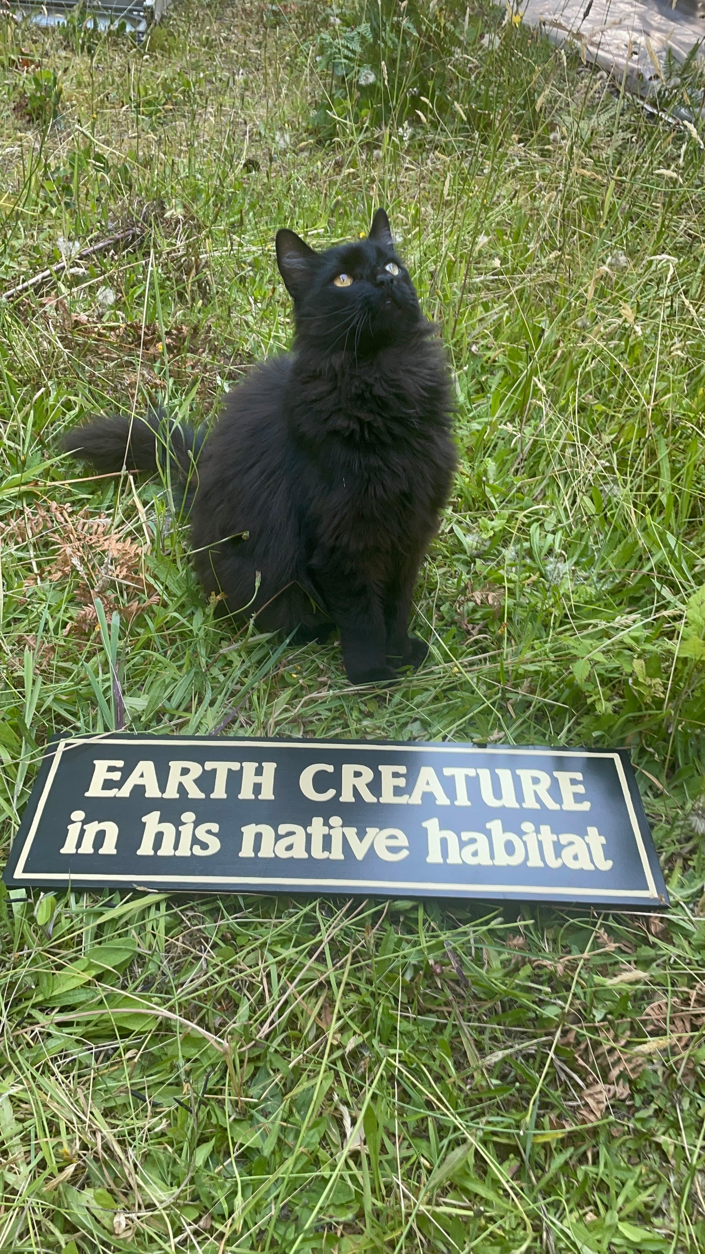 Earth Creature in His Natural Habitat Sign | Handmade | The Twilight Zone | TV Prop Replica | Retro Sci-Fi Theme | Science Fiction Décor