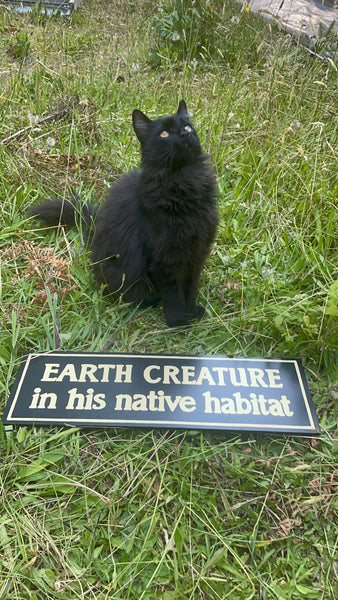 Earth Creature in His Natural Habitat Sign | Handmade | The Twilight Zone | TV Prop Replica | Retro Sci-Fi Theme | Science Fiction Décor