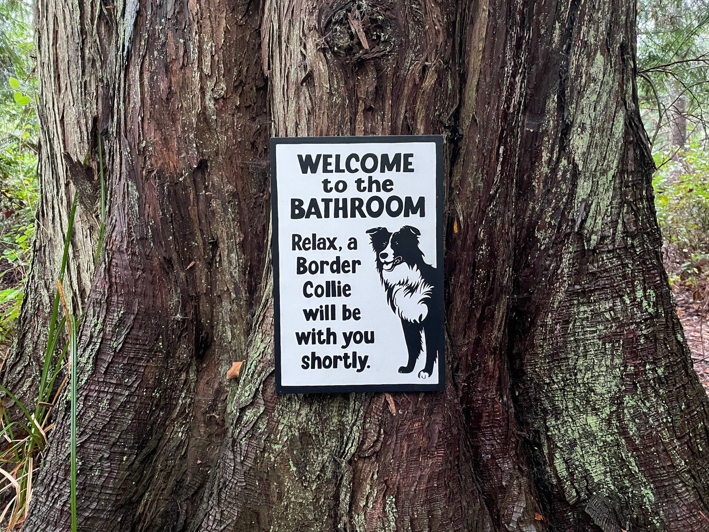 Border Collie Bathroom Sign | Handmade | Funny Dog Bathroom Sign | "Welcome to the Bathroom, Relax, a Border Collie will be with you Shortly"