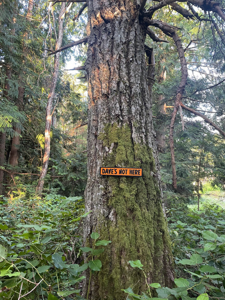 Dave's Not Here Sign | Handmade | Cheech and Chong Inspired | Pro Cannabis | Pro Weed | Marijuana | Quirky