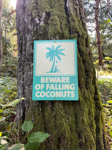 Beware of Falling Coconuts Sign | Handmade | Authentic Beach Warning Sign | Ocean and Coastal | Tiki Bar | Surfing | Diving | Tropical