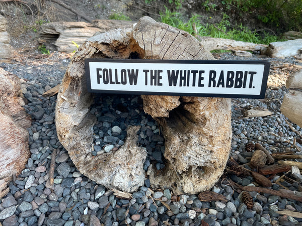 Follow the White Rabbit Sign | Handmade | Alice in Wonderland | The Matrix | Whimsical décor | Fantasy | Dark Academia