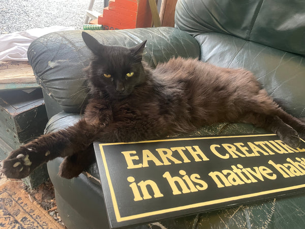 Earth Creature in His Natural Habitat Sign | Handmade | The Twilight Zone | TV Prop Replica | Retro Sci-Fi Theme | Science Fiction Décor