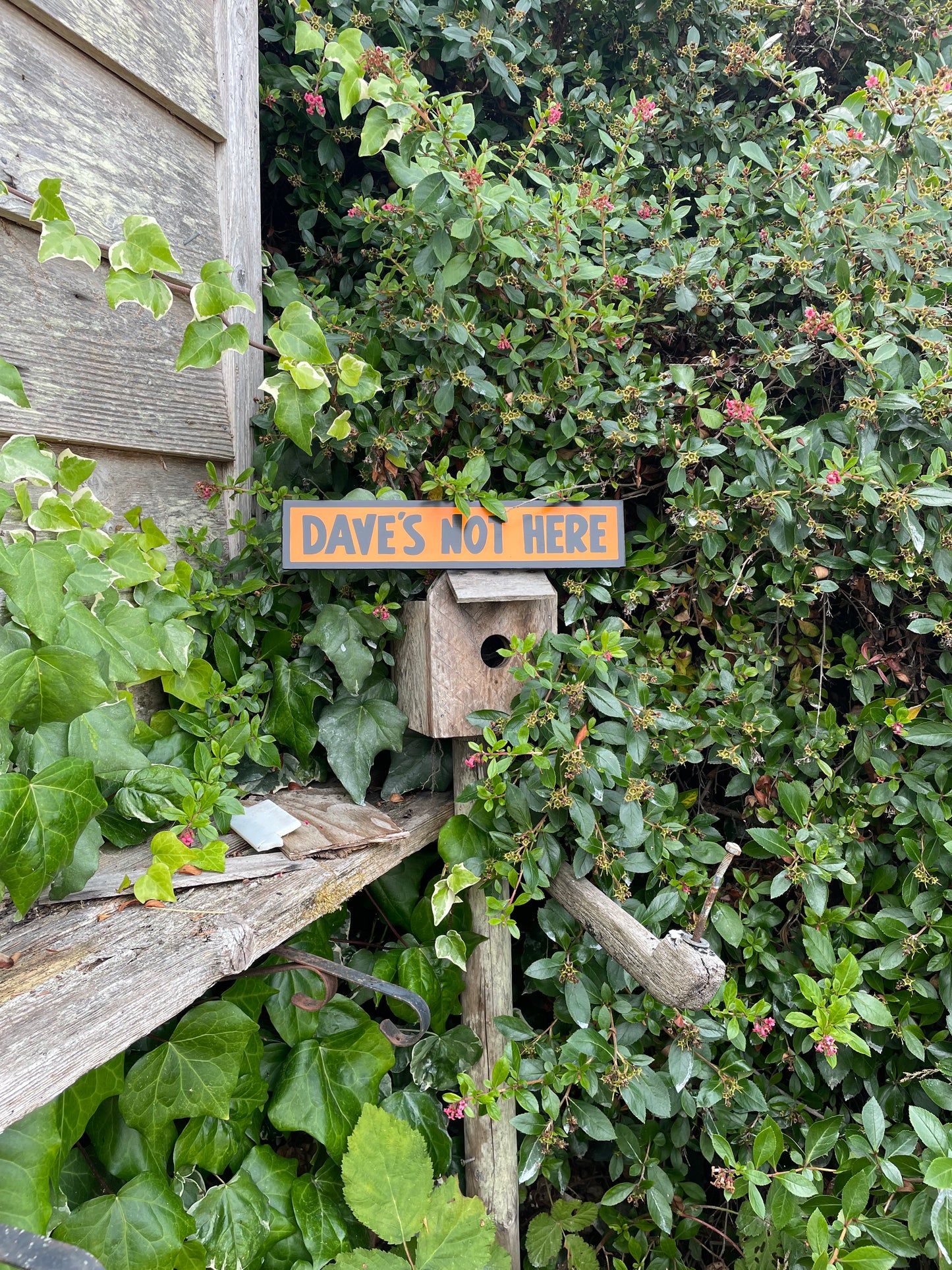 Dave's Not Here Sign | Handmade | Cheech and Chong Inspired | Pro Cannabis | Pro Weed | Marijuana | Quirky