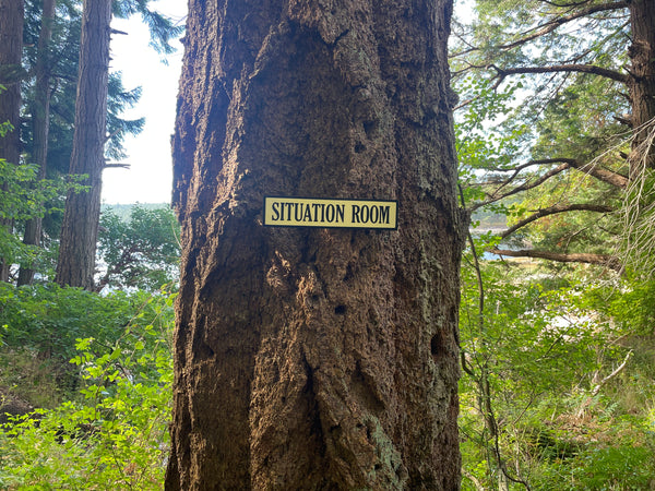 Situation Room Sign | Handmade | Funny Office and Meeting Room Sign | Conference Room | Bathroom Door | Political