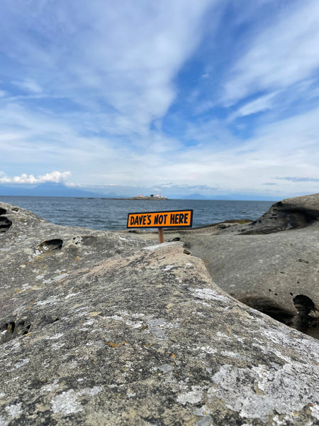 Dave's Not Here Sign | Handmade | Cheech and Chong Inspired | Pro Cannabis | Pro Weed | Marijuana | Quirky