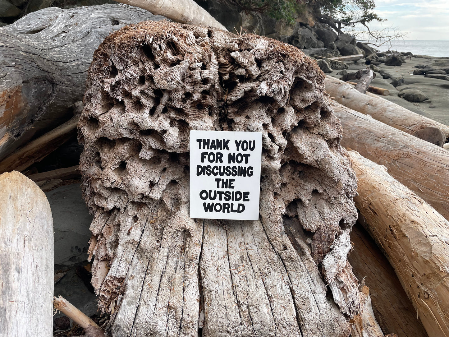 Thank You For Not Discussing The Outside World Sign | Handmade | Funny Entrance Sign | The Simpsons | Pop Culture | Comic Book Store