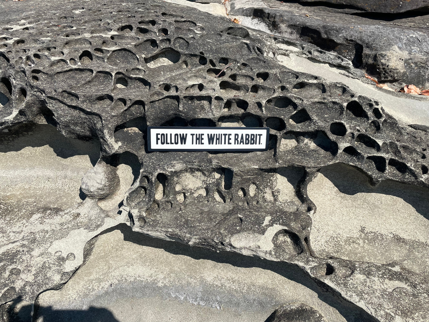 Follow the White Rabbit Sign | Handmade | Alice in Wonderland | The Matrix | Whimsical décor | Fantasy | Dark Academia