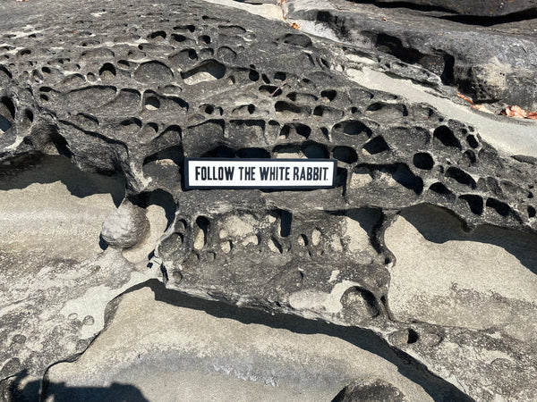 Follow the White Rabbit Sign | Handmade | Alice in Wonderland | The Matrix | Whimsical décor | Fantasy | Dark Academia