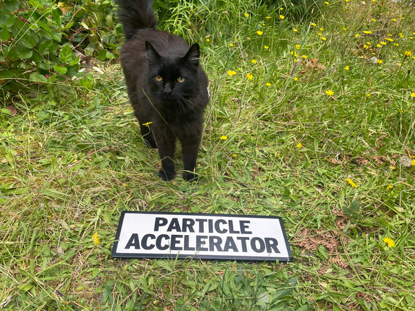 Particle Accelerator Sign | Handmade | Funny Door Sign | Science Themed Room Decor | Sci Fi  | Atomic | Nerd | Geek