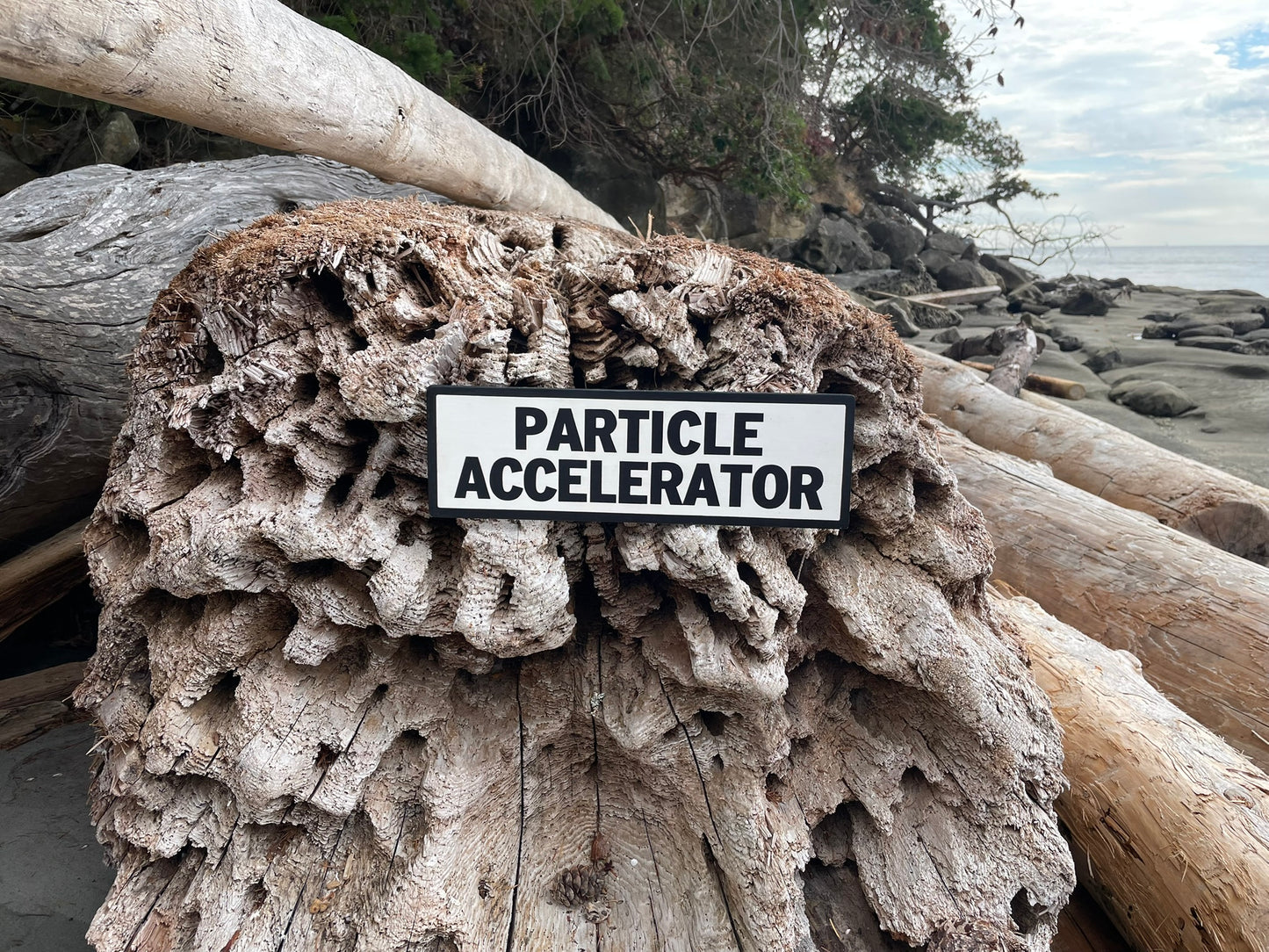 Particle Accelerator Sign | Handmade | Funny Door Sign | Science Themed Room Decor | Sci Fi  | Atomic | Nerd | Geek