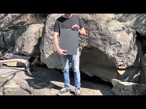 Do Not Make Eye Contact with the Gorilla Sign | Handmade | Funny Reception Area Sign | Office Humor | Boss | Receptionist