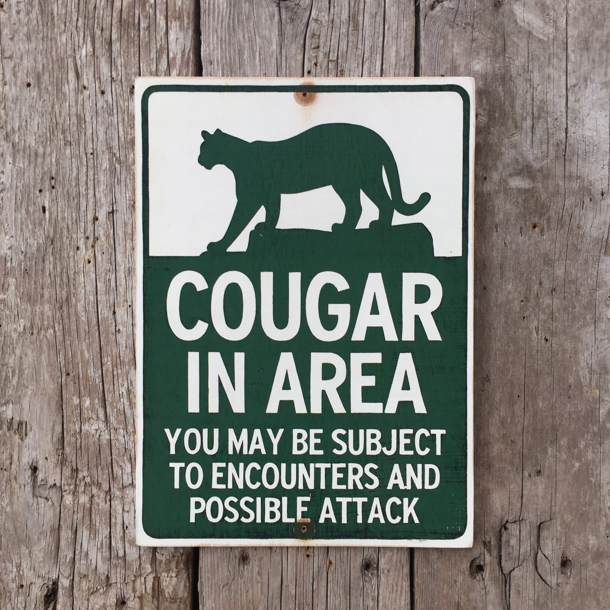 Handmade Vintage Cougar In Area Park Warning Sign