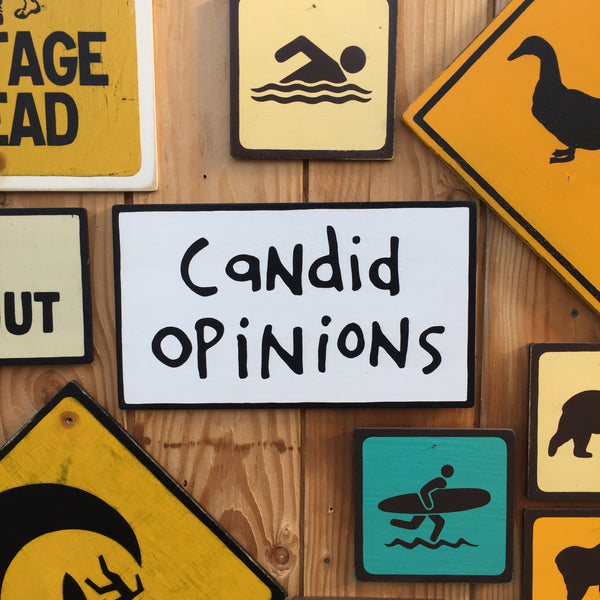 Calvin and Hobbes "Candid Opinions" Sign | Handmade  Pop Culture | Comic Strip | Bill Watterson | Cardboard Box Stand Sign