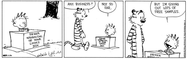 Calvin and Hobbes "Frank appraisal of your looks" Sign | Handmade Pop Culture | Comic Strip | Bill Watterson | Cardboard Box Stand Sign